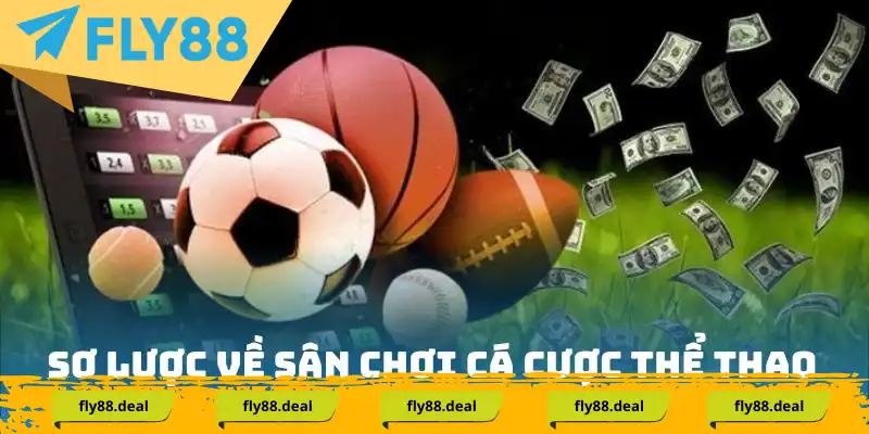 Sơ lược về sân chơi cá cược thể thao tại Fly88 Sơ lược về sân chơi cá cược thể thao Fly88